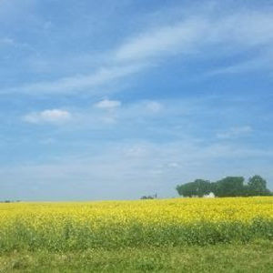 Meet your Posher, Byron